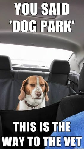 Tierarzt-Milliarden-Markt