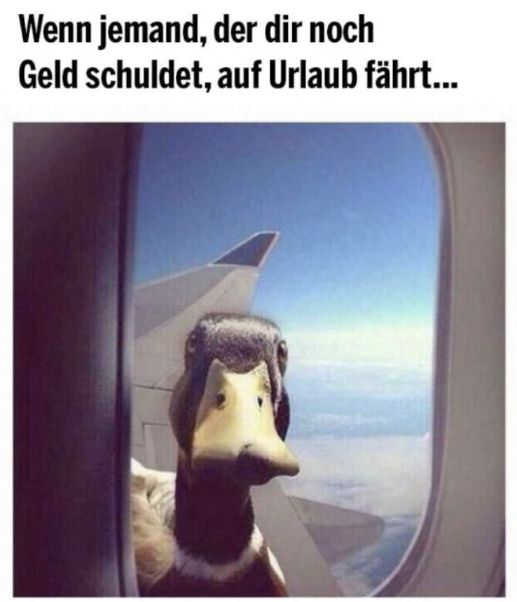 Zinsen über 5%