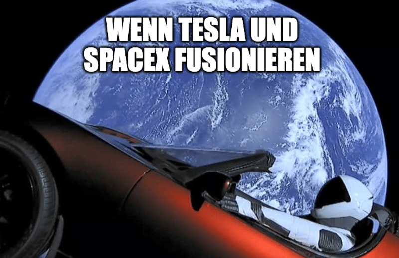 Meta & Tesla