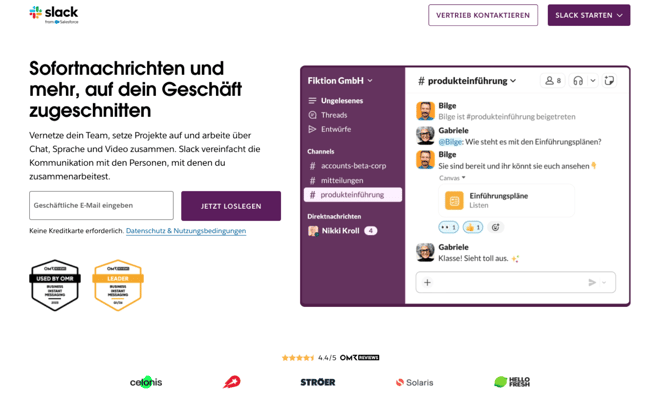 Brevo_ dedizierte Landingpage mit Lead-Magnet und Lead-Formular über der Fold.