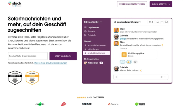 Brevo_ dedizierte Landingpage mit Lead-Magnet und Lead-Formular über der Fold.