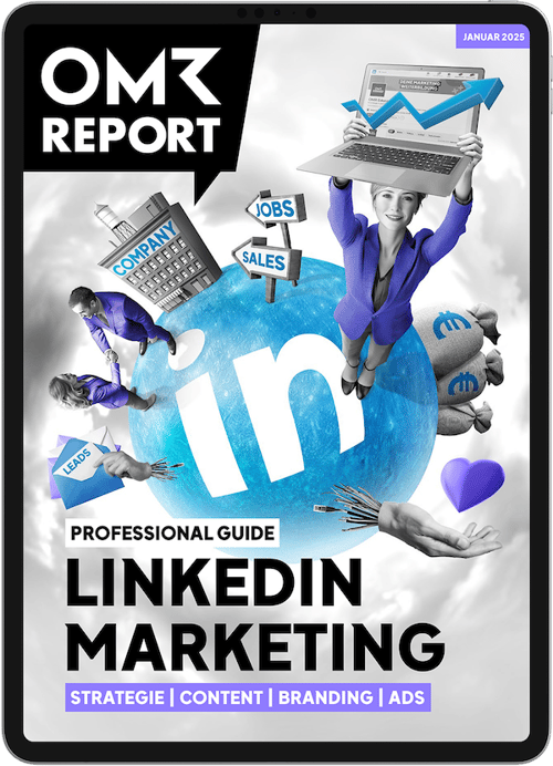 OMR Report LinkedIn Marketing