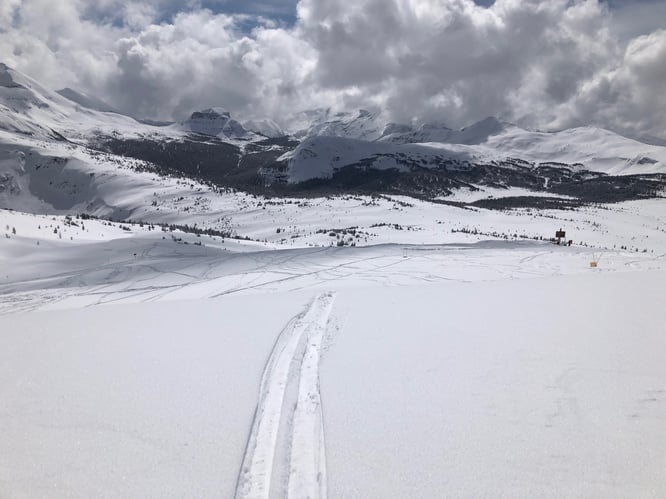 Mein Frühling trägt Neuschnee