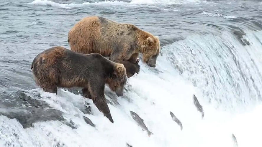 7% Dividendenrendite