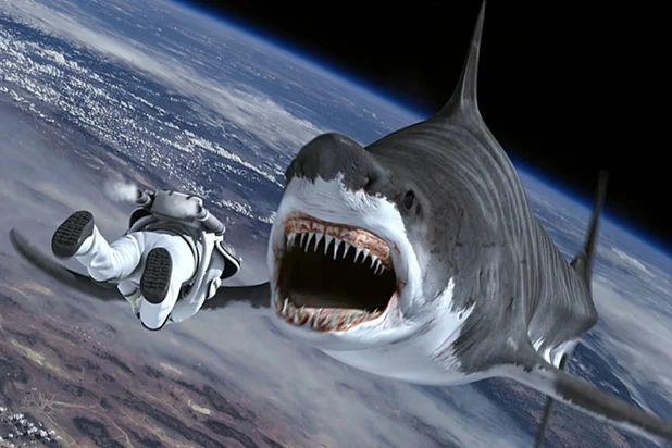 Krisenfester Haifischbiss