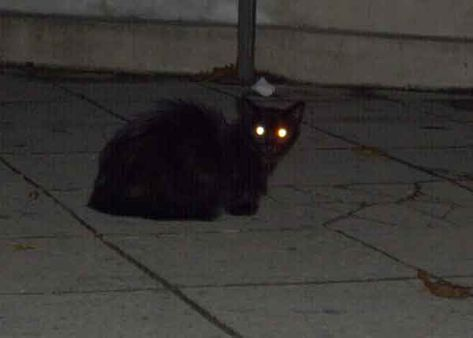 Griechisches Anduril