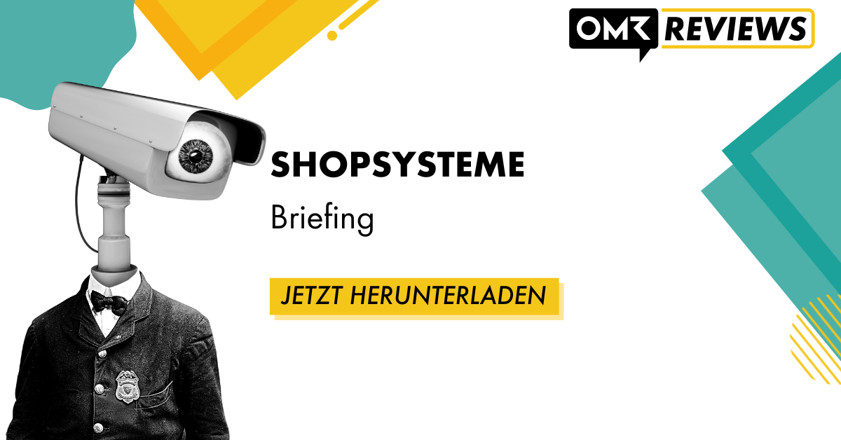 Reviews Briefing_Shopsysteme